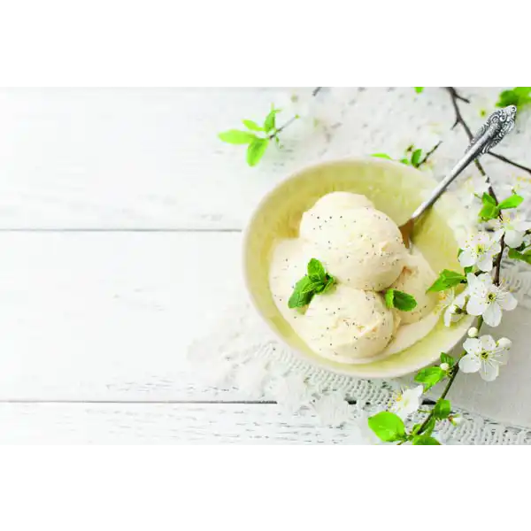 Vegan Natural Vanilla Bean Ice Cream (30271p1)