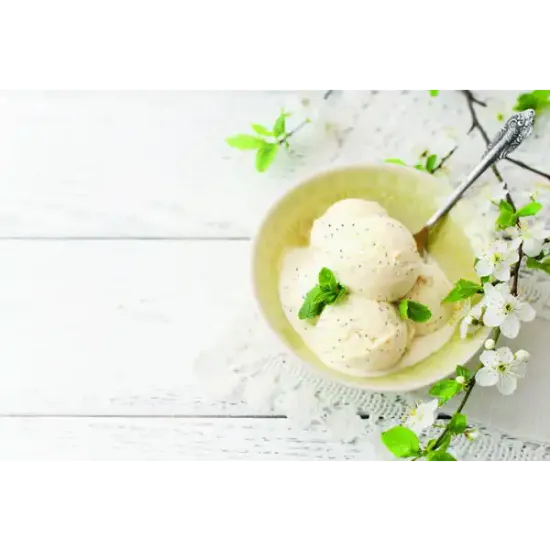 Vegan Natural Vanilla Bean Ice Cream (30271p1)