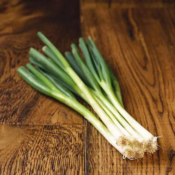 Spring Onions (v1304p5)