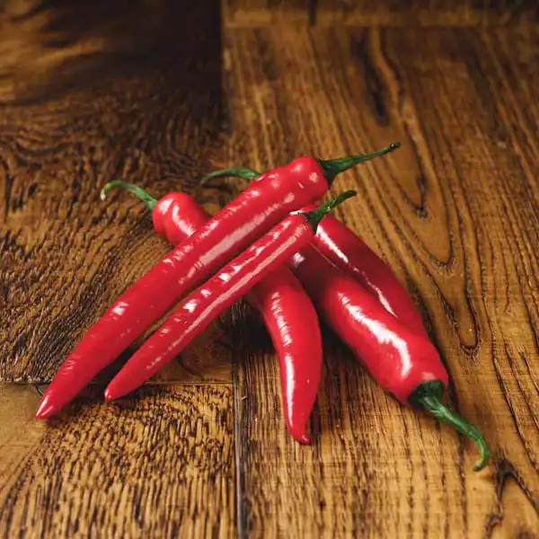 Red Chillies (v1286p5)