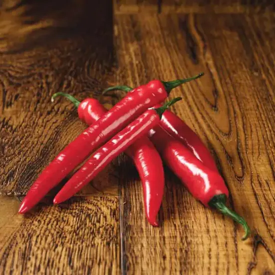 Red Chillies (v1286p5)