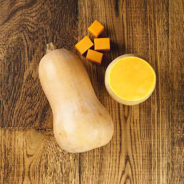 Butternut Squash (v4009p5)