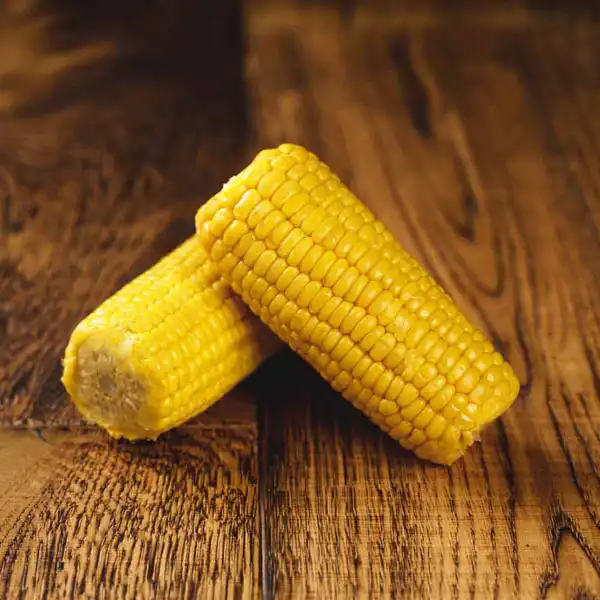 Corn on the Cob (v1710p5)