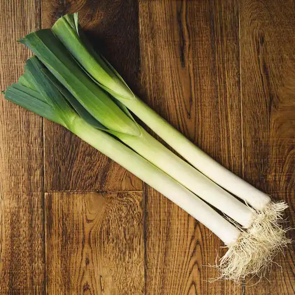 Leeks (v1814p5)