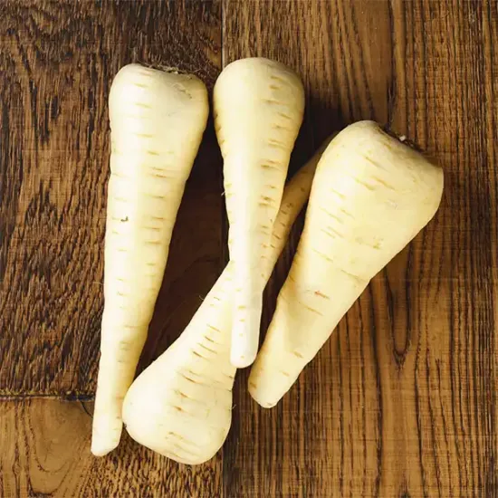 Parsnips (v1880p1)