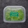 Cut Pea Shoot Salad (v2668p2)