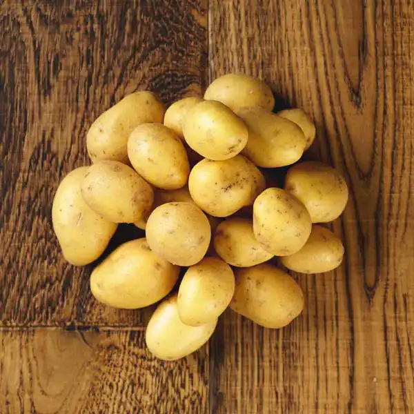 Salad Potatoes, Mids (v1261p5)