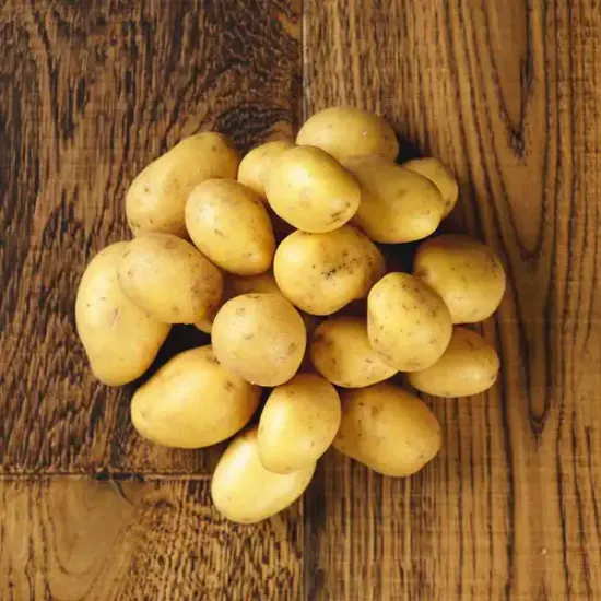 Salad Potatoes, Mids (v1261p5)