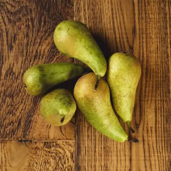 Pears (v1040p5)
