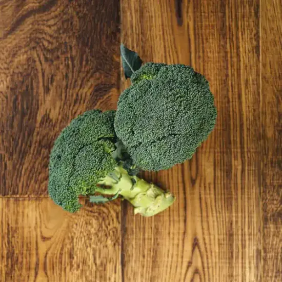 Broccoli (v1866p5)