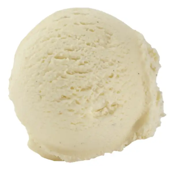  Vegan Vanilla Ice Cream (849974p2)