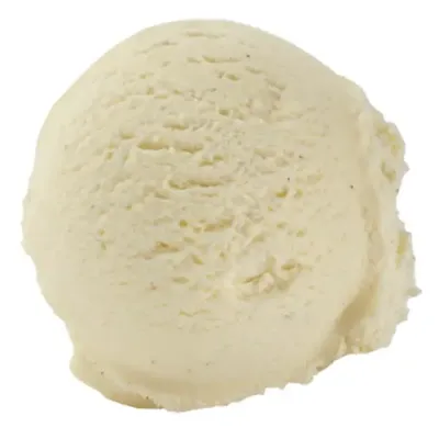  Vegan Vanilla Ice Cream ()