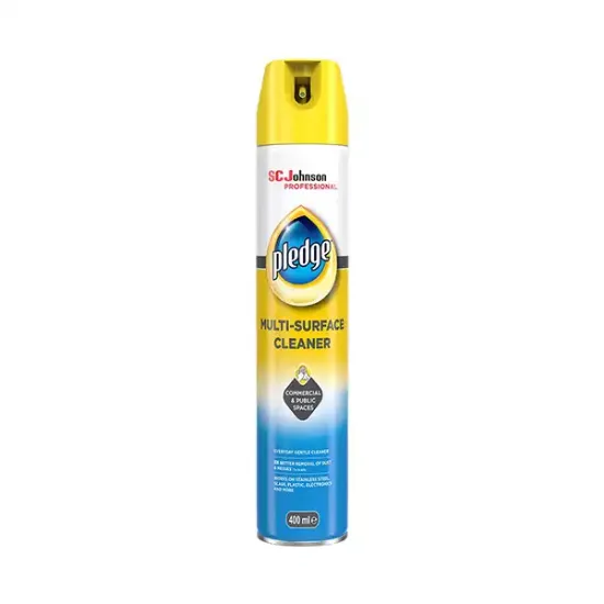Multi Surface Cleaner (c2046p2)