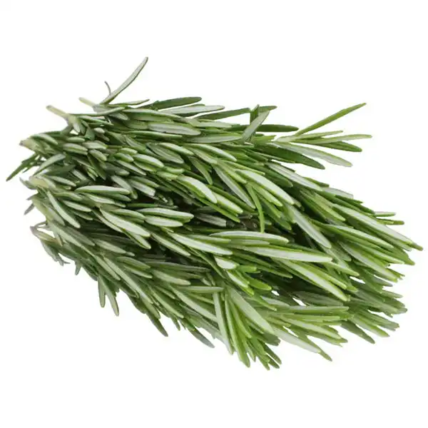 Rosemary (v1768p5)