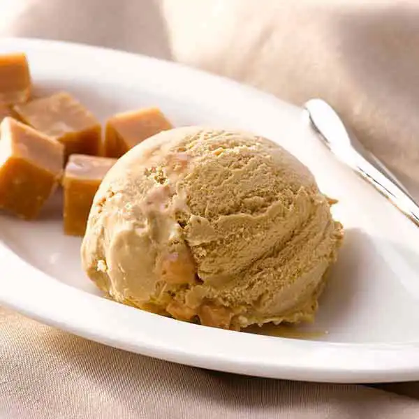 Salted Caramel Fudge Ice Cream (191968p1)