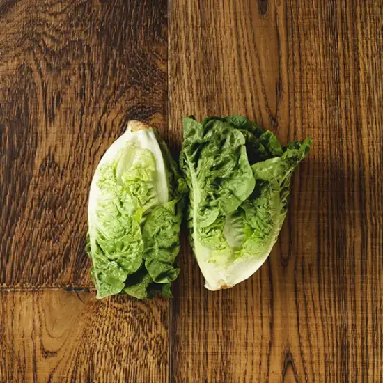 Little Gem Lettuce (v2879p1)