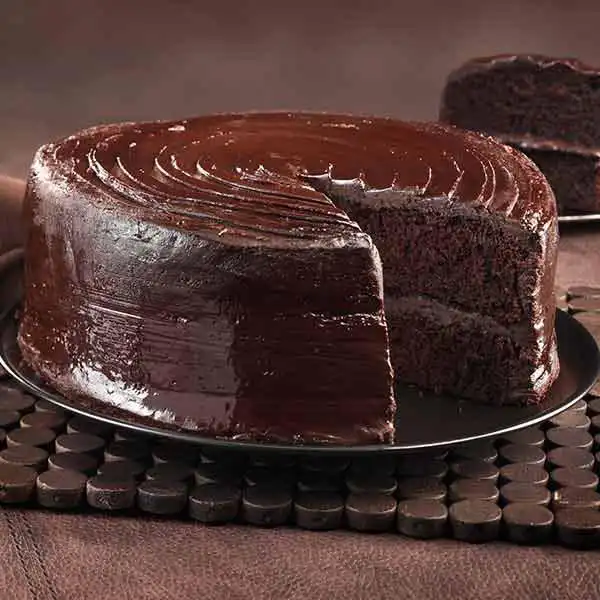 Gluten Free Alabama Fudge Cake (73981p1)