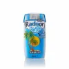 Radnor Fruits Tropical Juice Cartons (a92962p2)