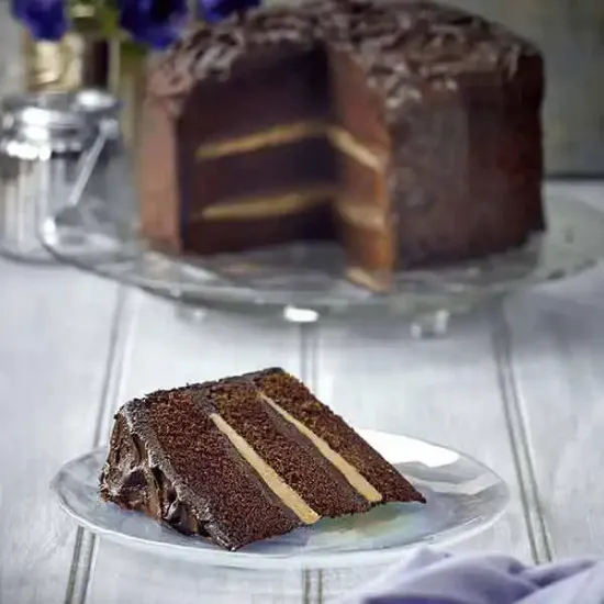 Chocolate Fudge Fixation (168411p1)