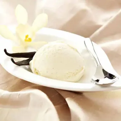 Madagascan Vanilla Ice Cream ()