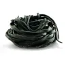 Taglione with Squid Ink (282865p5)
