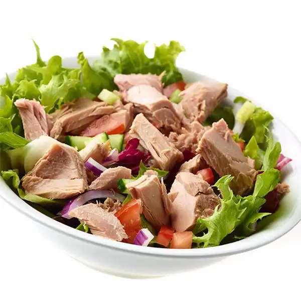 Tuna in Brine (a21025p1)