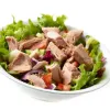 Tuna in Brine (a21025p1)