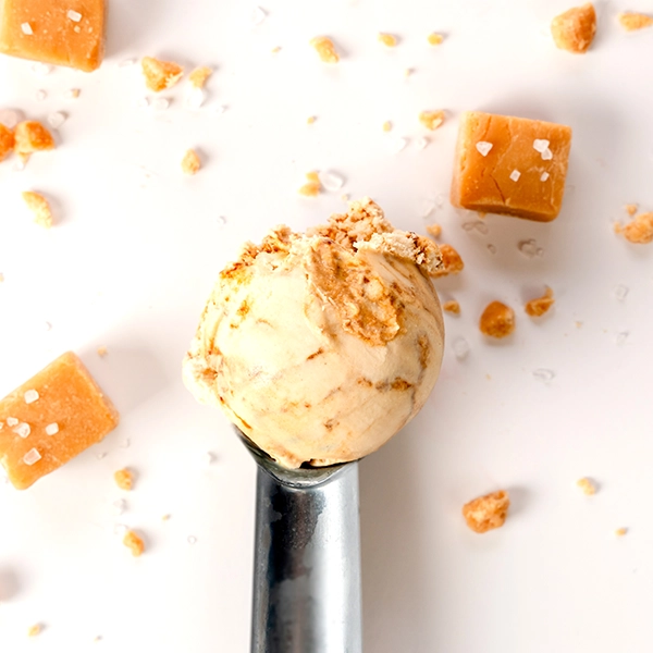 Sea Salted Caramel Ice Cream (30253p1)
