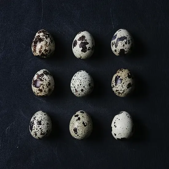 Free Range Mixed Quail Eggs (z839p1)