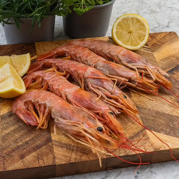 Argentinian Red Shrimp (sf011p1)