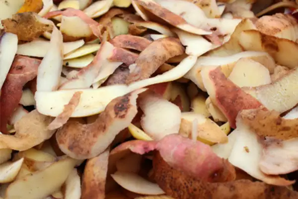 No Food Waste
