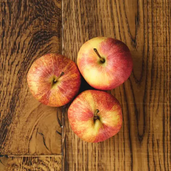 Gala Apples (v3886p1)