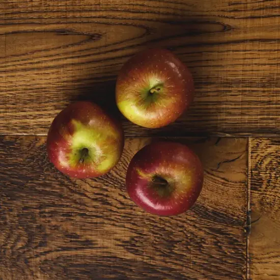 Jazz Apple (v2929p1)