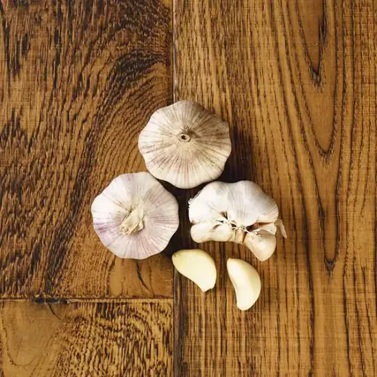 Garlic Bulbs (v1812p1)