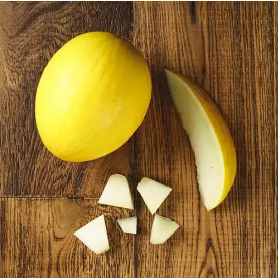 Honeydew Melon (v1793p5)