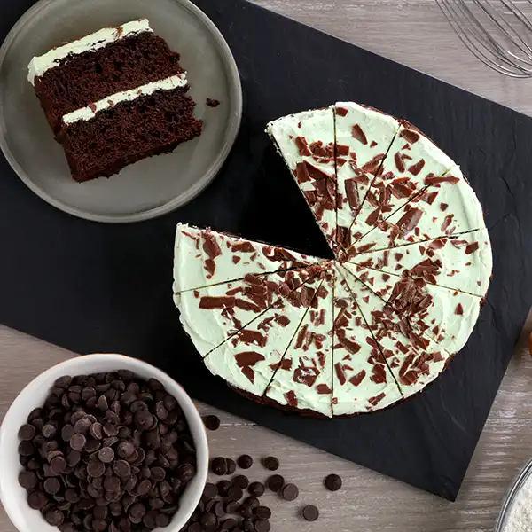 Gluten Free Mint Chocolate Chip Cake (1148p1)