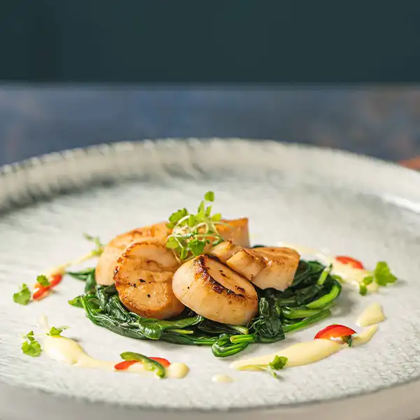 Fresh King Scallops (sf030p1)