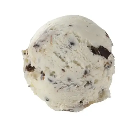 Coconut Chocolate Cookie Ice Cream (850017p5)