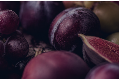 Fruit