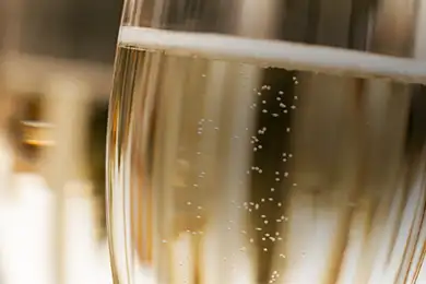 Sparkling Wine