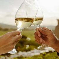 White Wine
