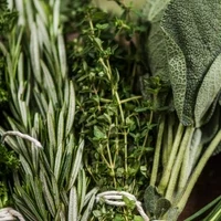 Herbs
