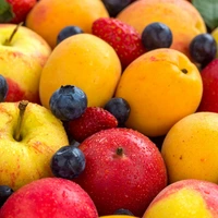 Fruit