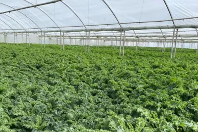 B&G Nurseries in Worcester