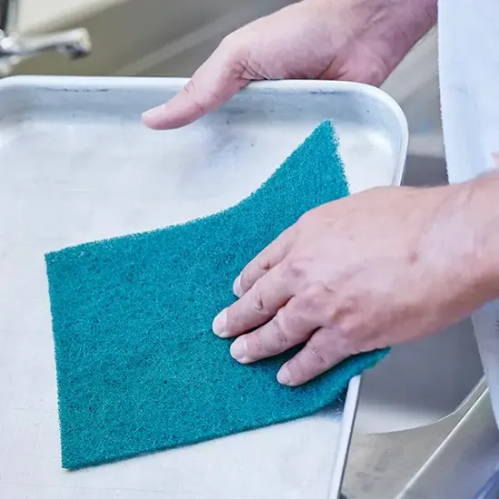 Caterers Scourer (caterers-scourerp1)