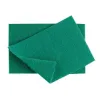 Caterers Scourer (caterers-scourerp5)