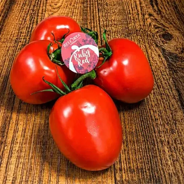 Plum Vine Tomatoes (v1834p1)