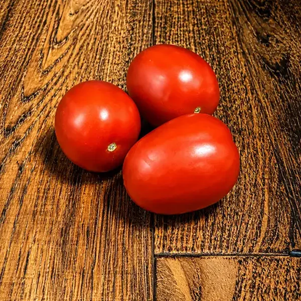 Plum Tomatoes (v1264p1)