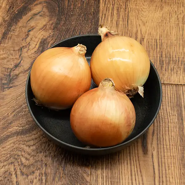 Spanish Onions (v1898p1)