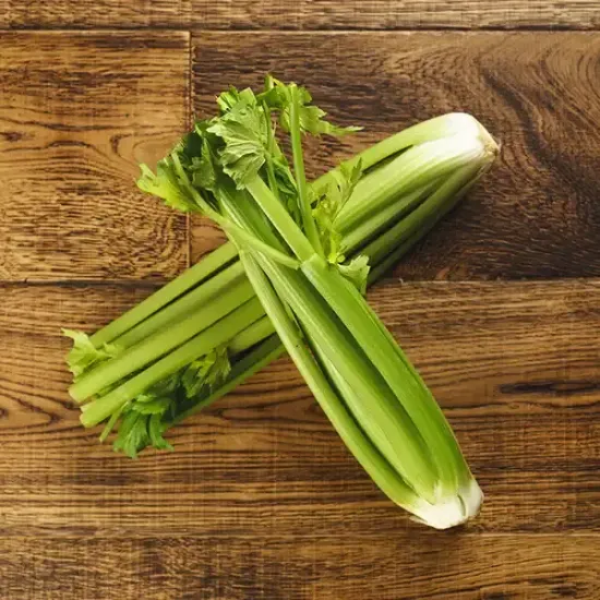 Celery (v1379p1)